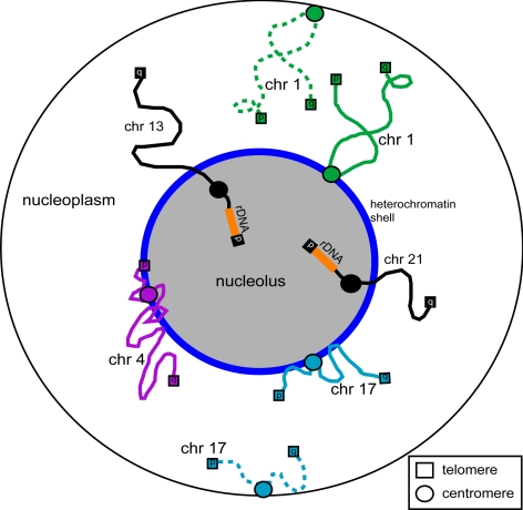 Figure 10.