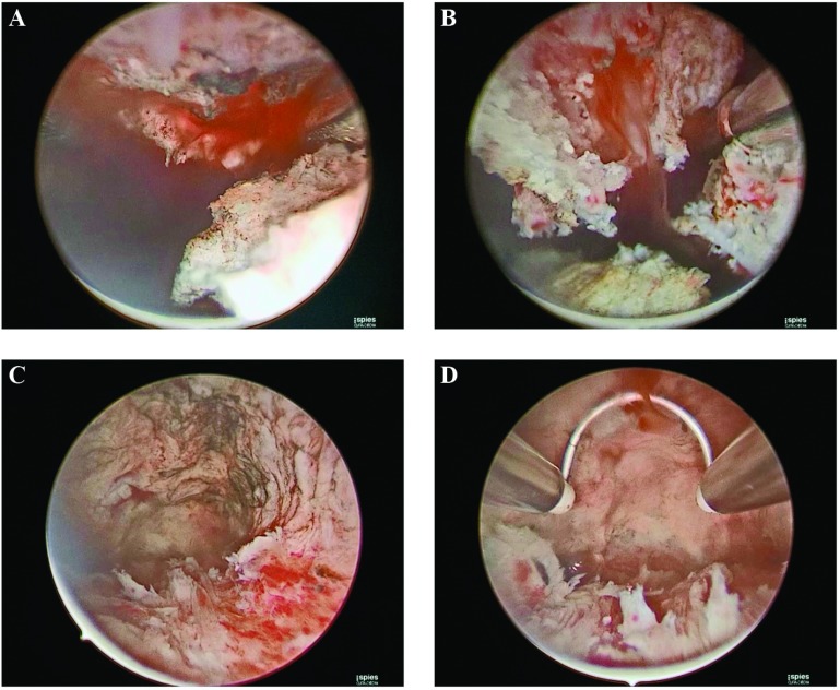 Figure 4.