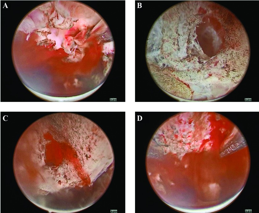 Figure 3.