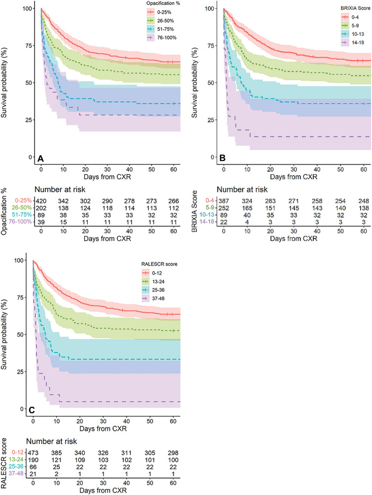 Kaplan-Meier survival curves during 60 days after chest radiographic examination (CXR) stratified by quartiles of (A) percentage opacification, (B) Brixia, and (C) radiographic assessment of lung edema (RALE) scores (RALESCR).