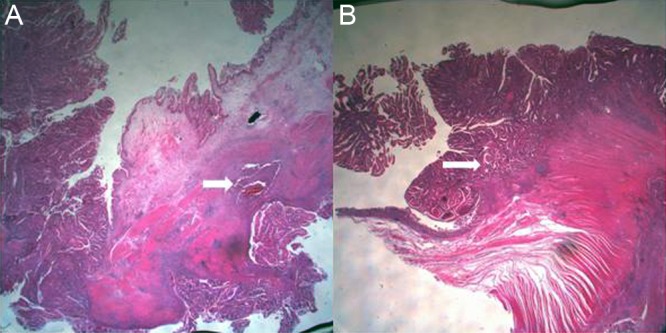 Figure 4