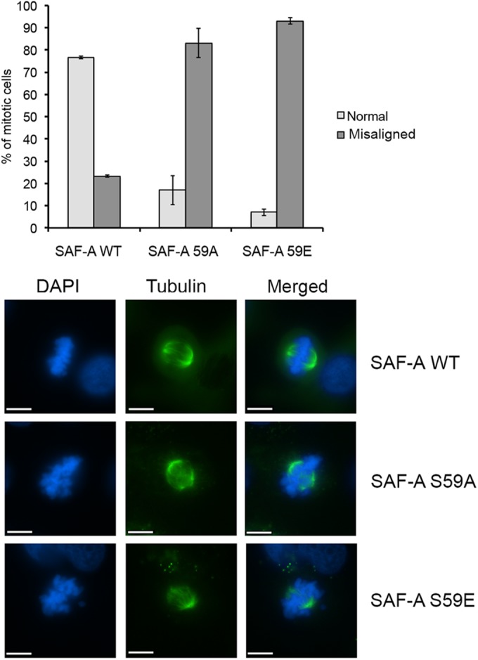 FIG 6