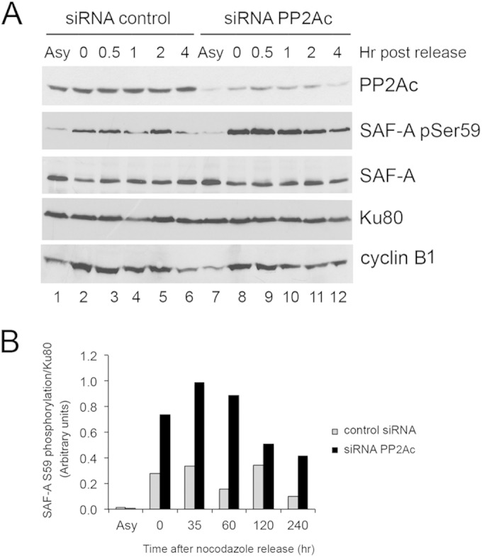 FIG 10