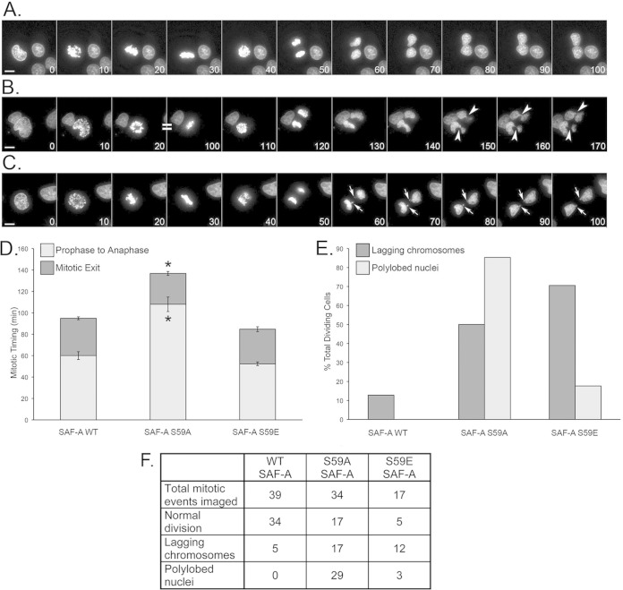 FIG 8