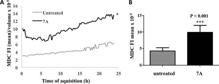 FIG 10