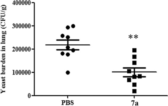 FIG 2