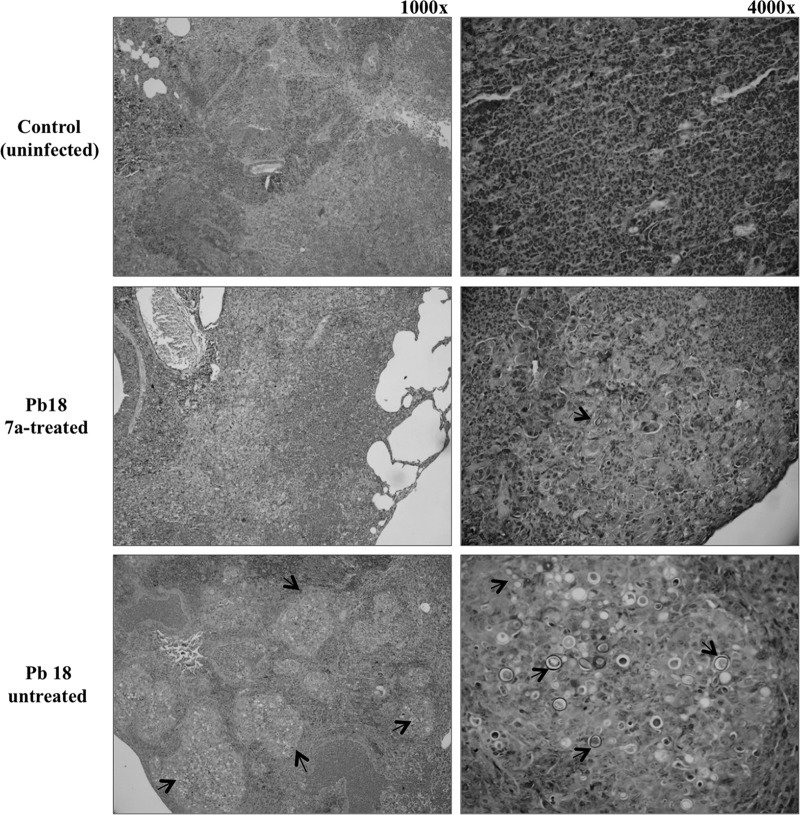 FIG 3