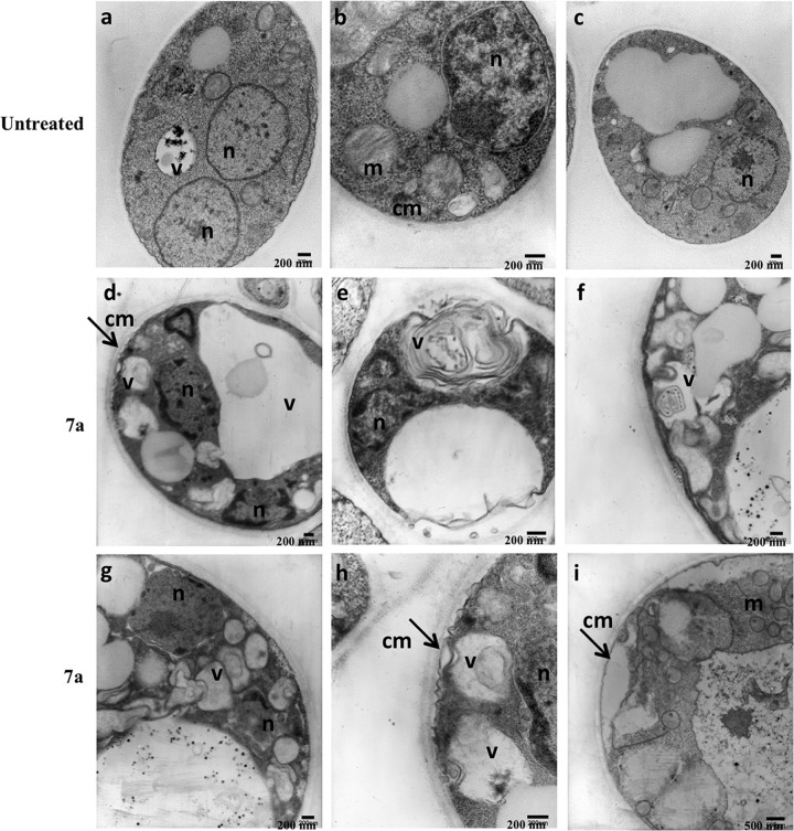 FIG 4