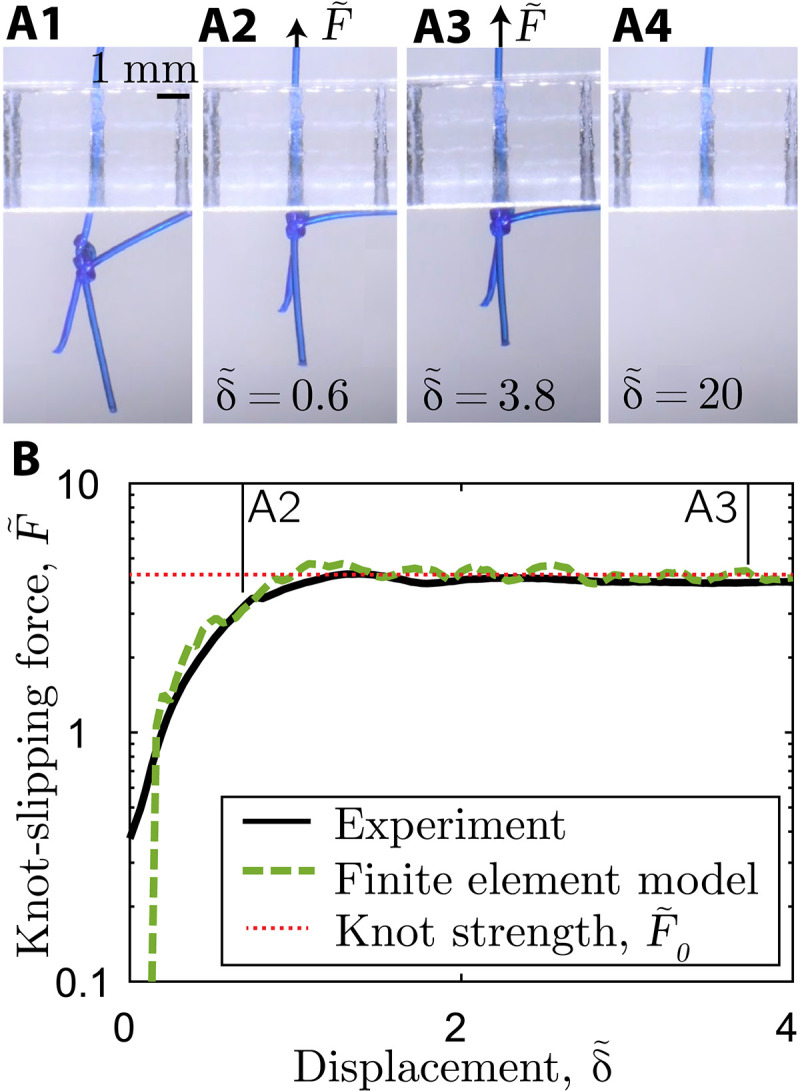 Fig. 2.