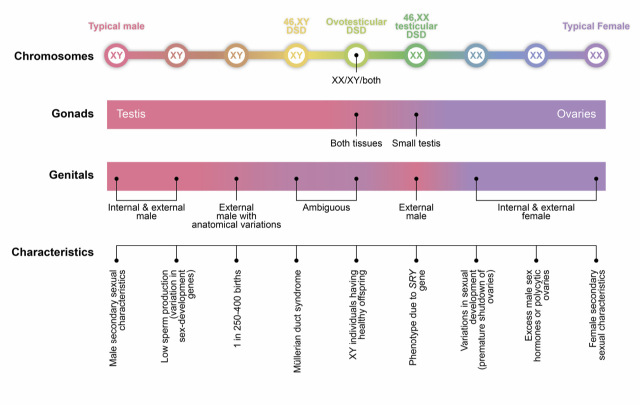 Figure 1: