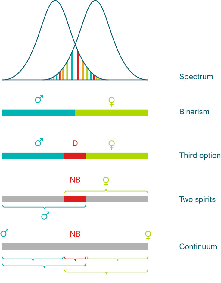 Figure 2: