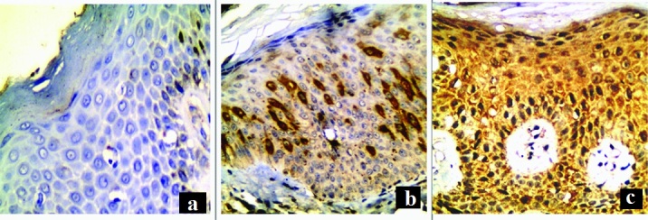 [Table/Fig-2]: