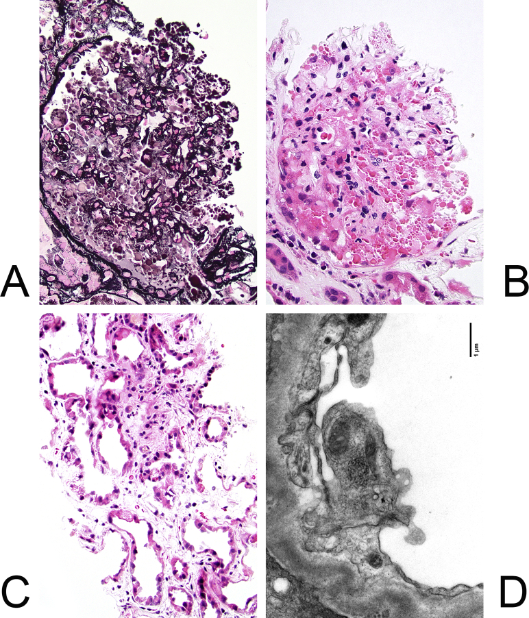 Figure 2