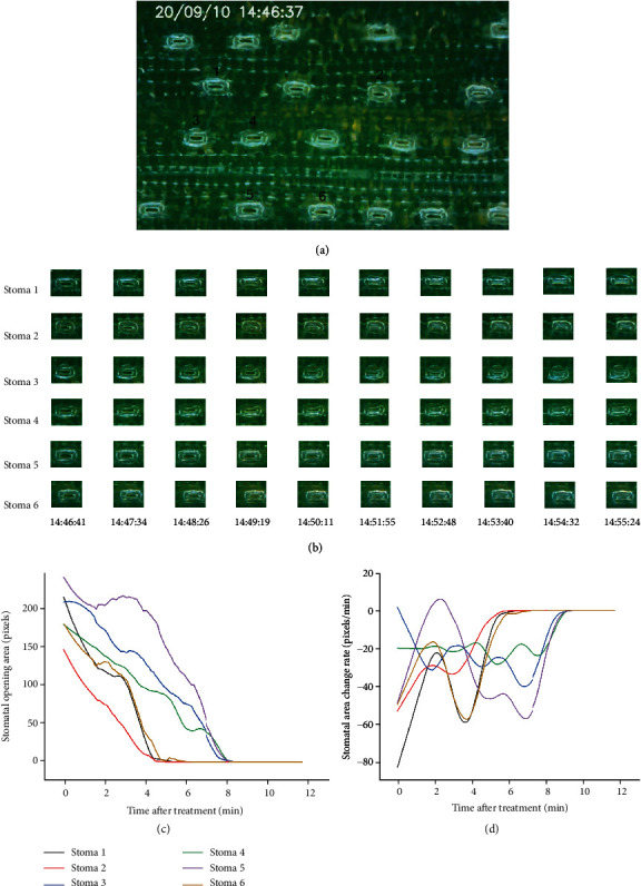 Figure 6