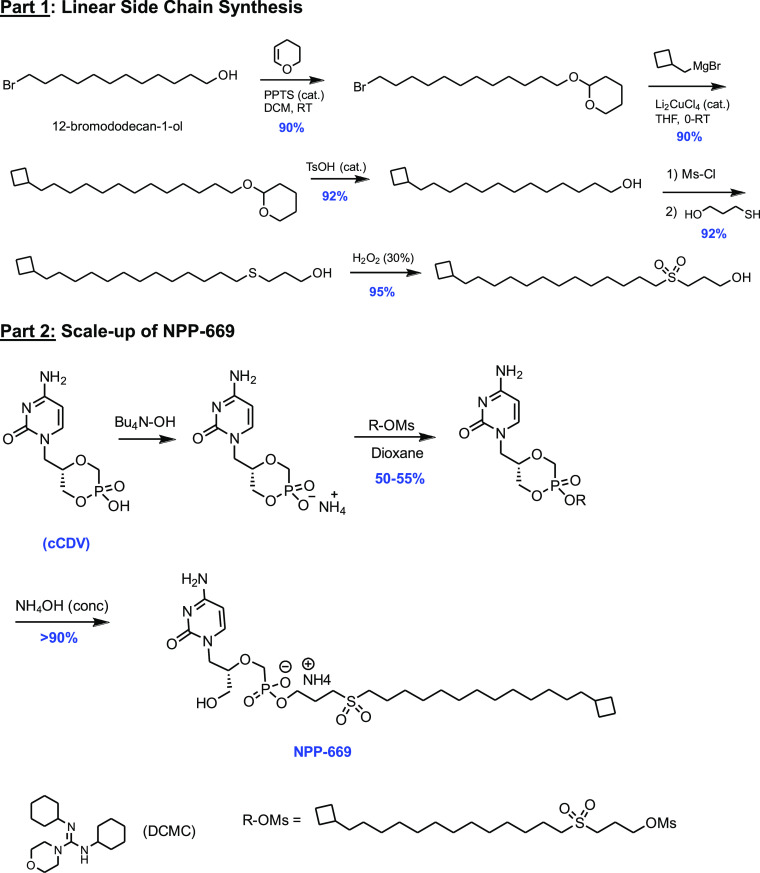 Scheme 1