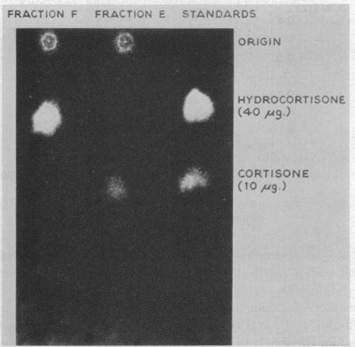 graphic file with name pnas00193-0123-a.jpg