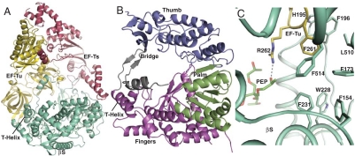 Fig. 2.