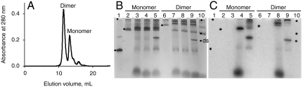 Fig. 1.