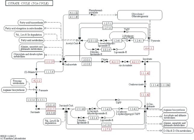 Figure 2: