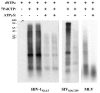 FIG. 7.