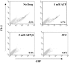 FIG. 2.