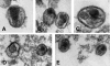 FIG. 9.