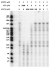 FIG. 8.