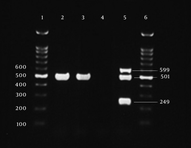 Figure 2.