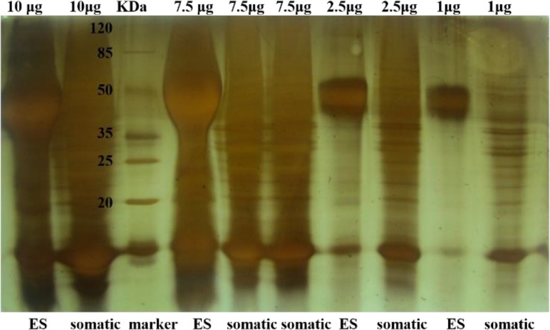 Fig. 1: