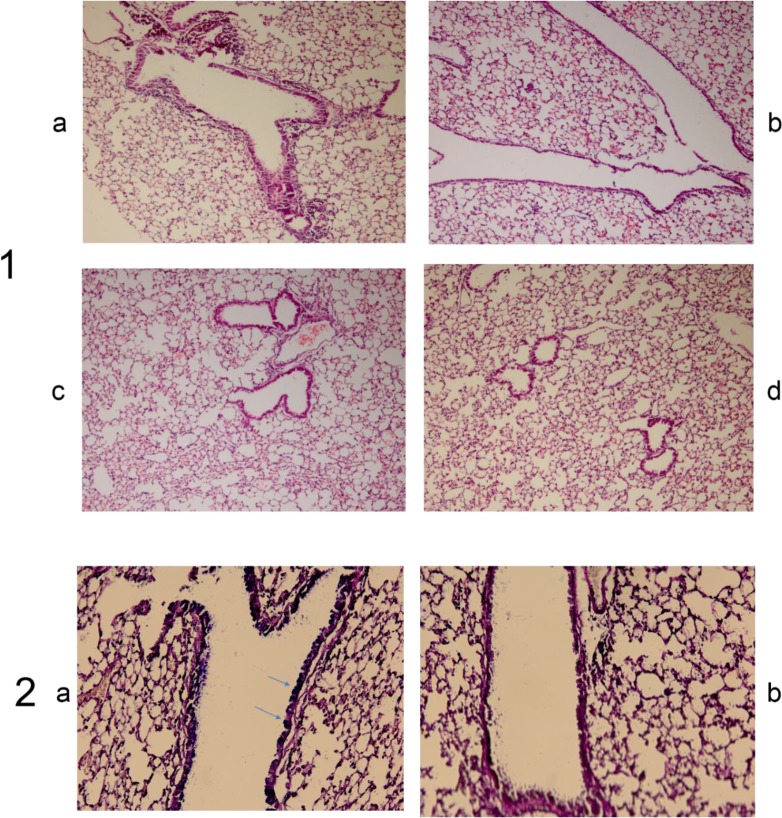 Fig. 3: