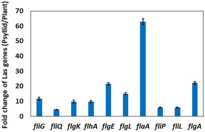 Figure 7