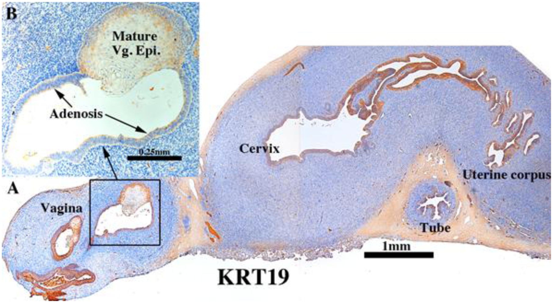 Figure 13.