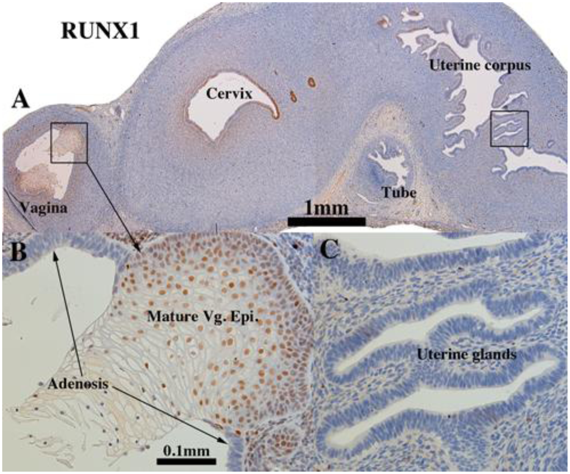 Figure 17.