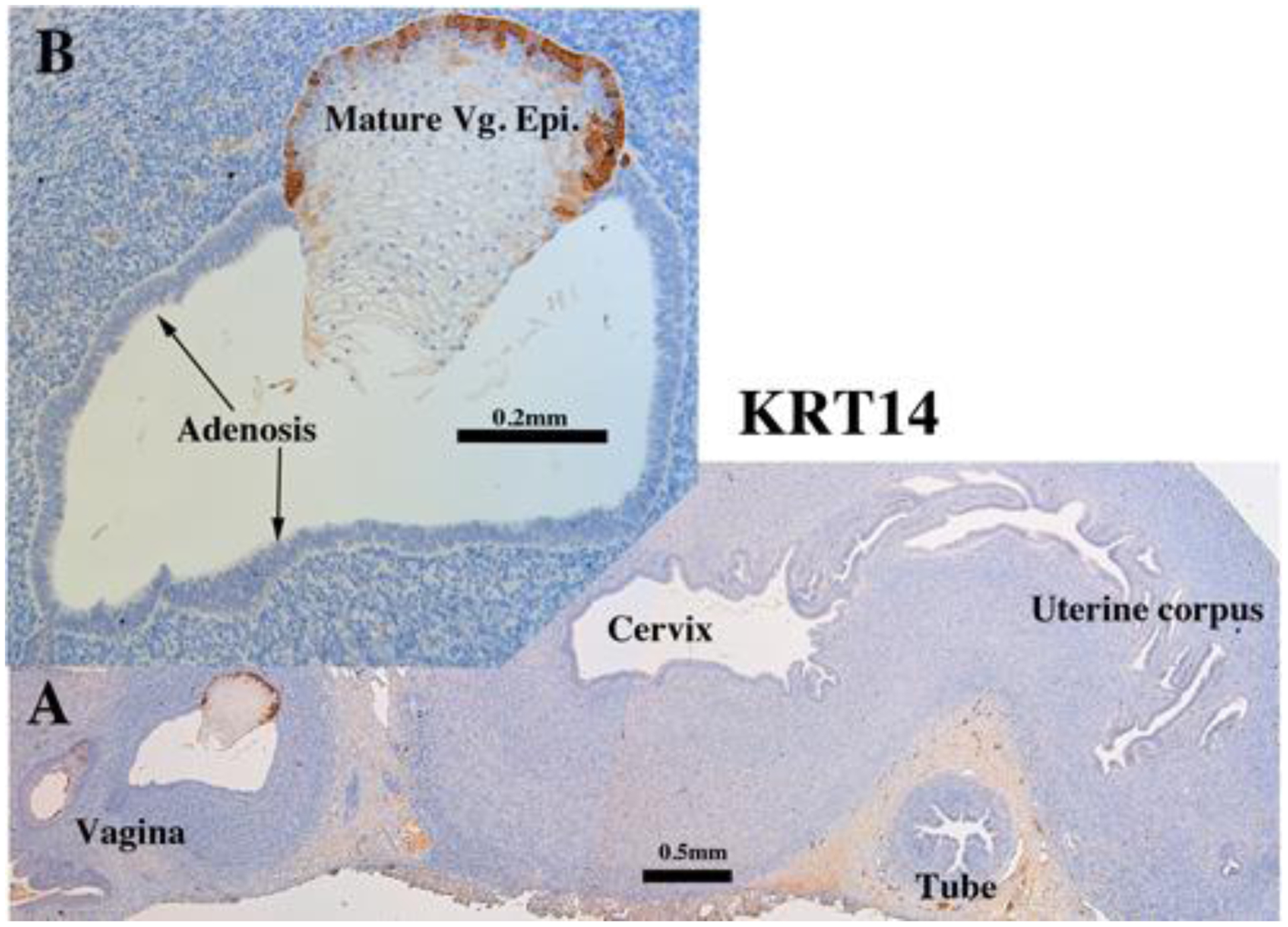 Figure 15.