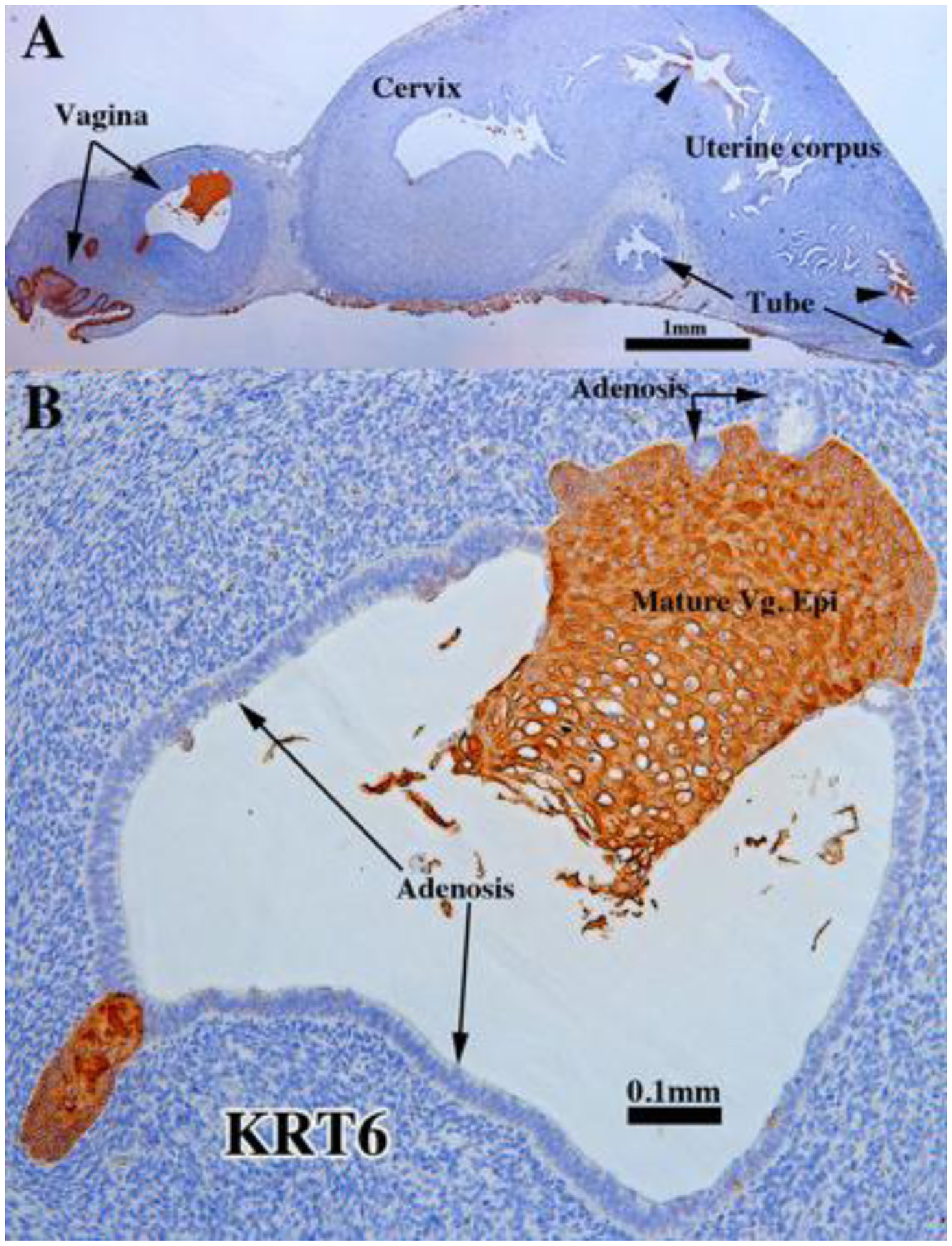 Figure 14.