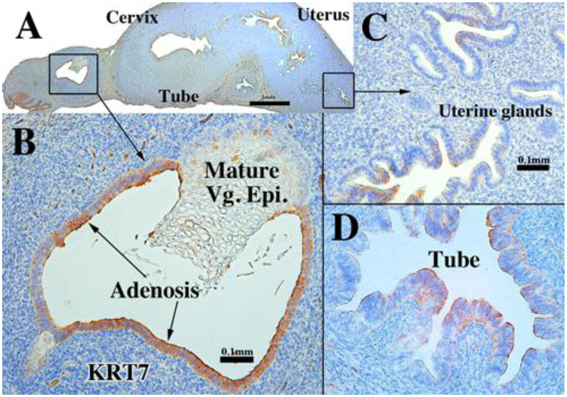 Figure 12.