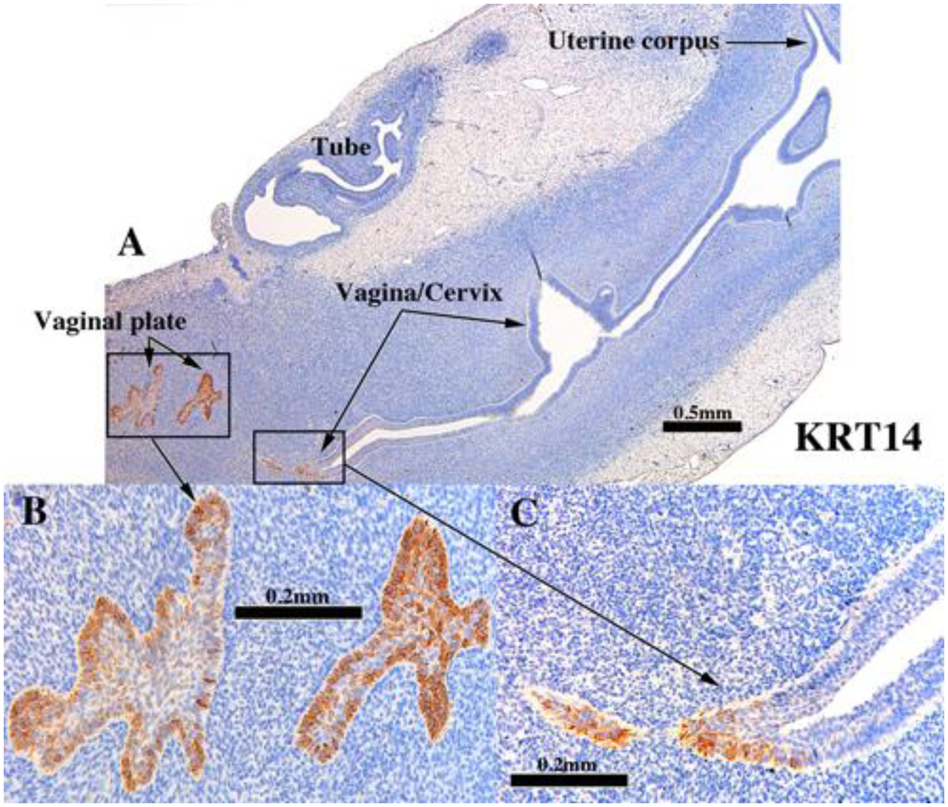 Figure 6.