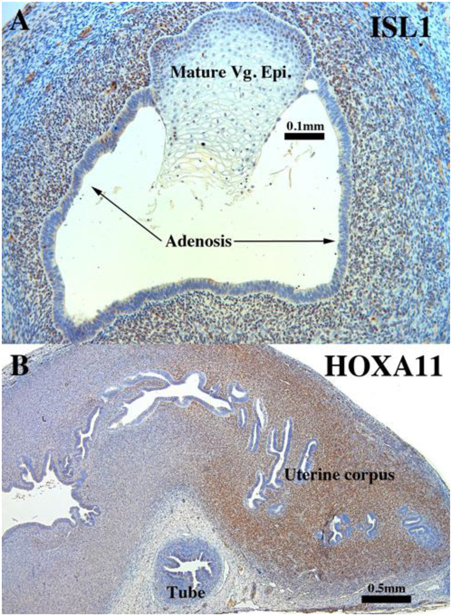 Figure 18.