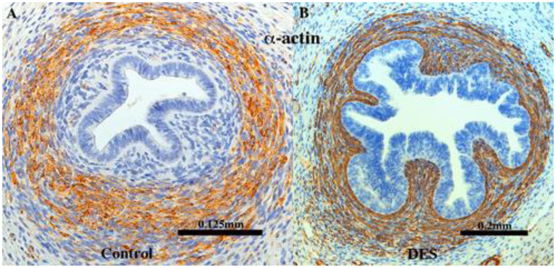 Figure 19.