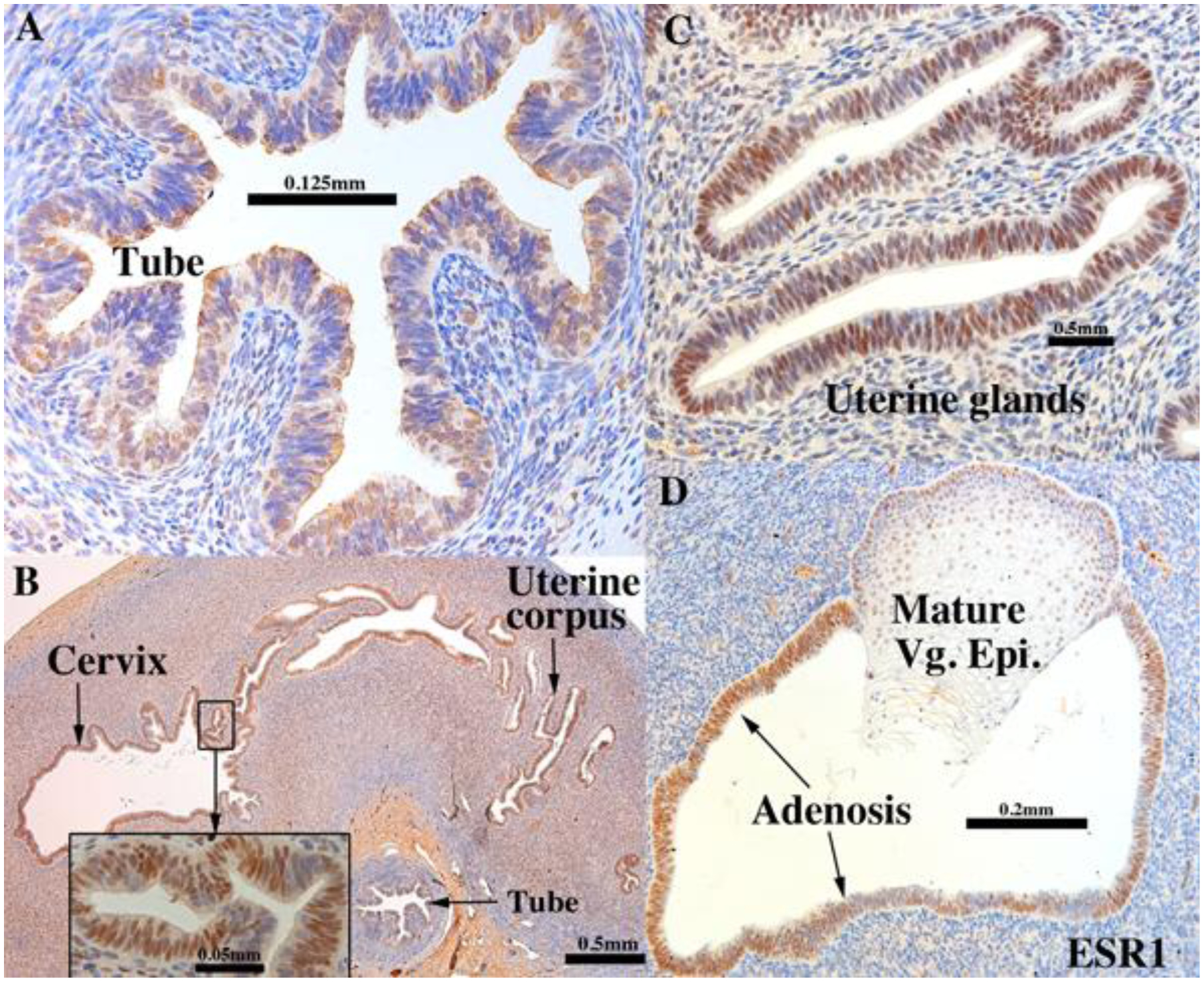 Figure 10.