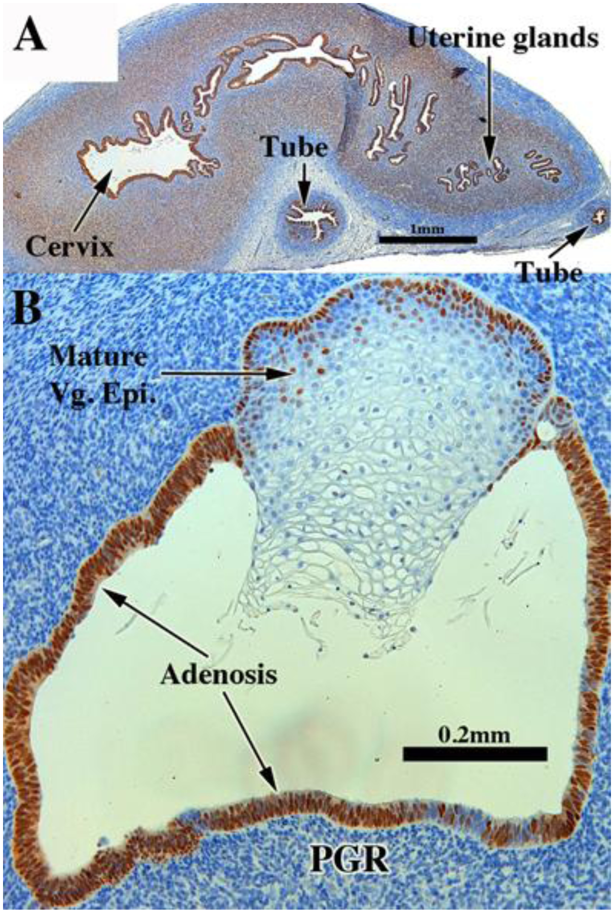 Figure 11.