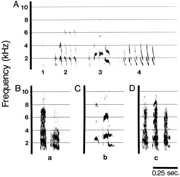 Fig. 8.