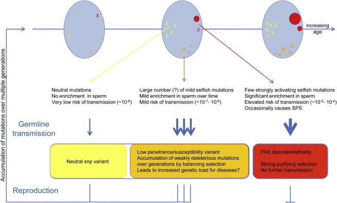 Figure 5