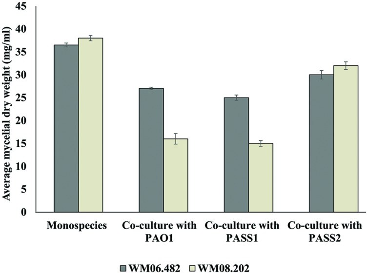 FIGURE 6