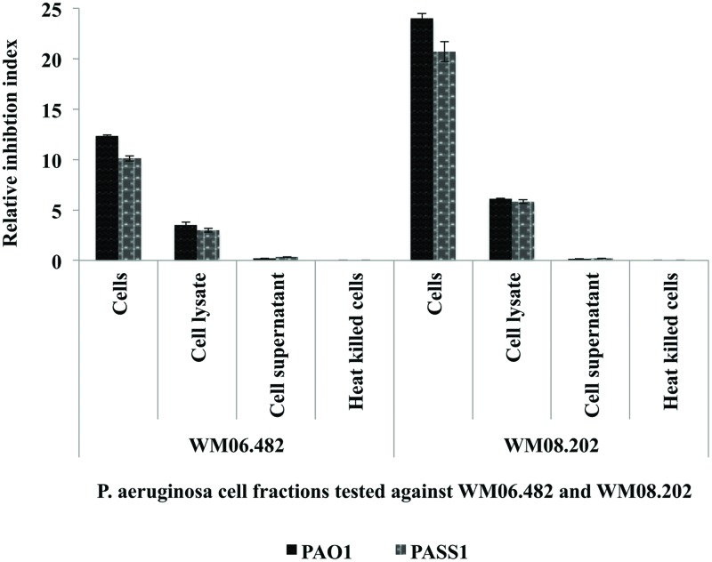 FIGURE 2