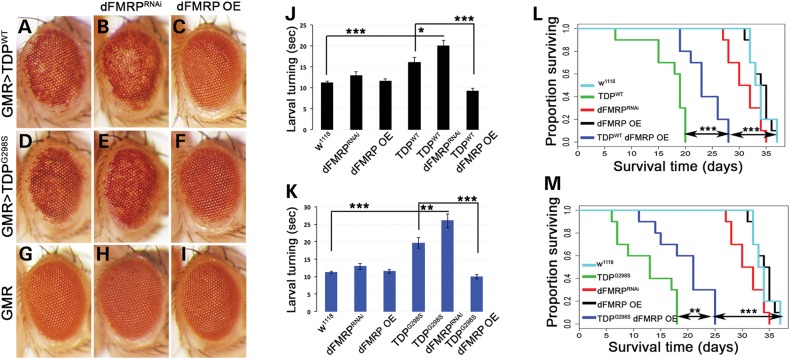 Figure 1.