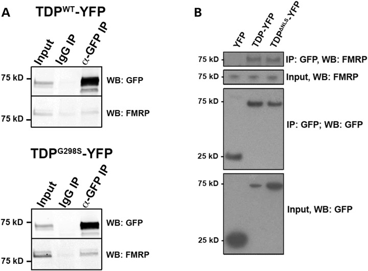 Figure 3.