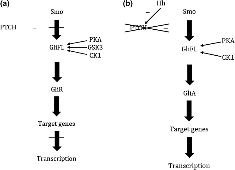 Fig. 1