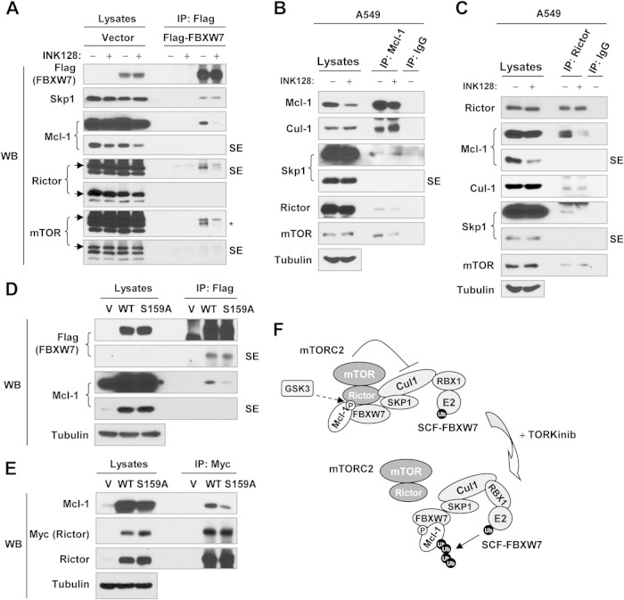 FIG 6