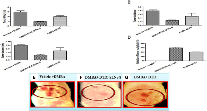 Figure 7